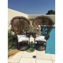 Fauteuils Emmanuelle model bois foncé (le duo)