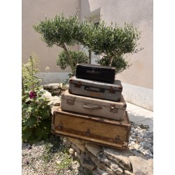 Valise ancienne